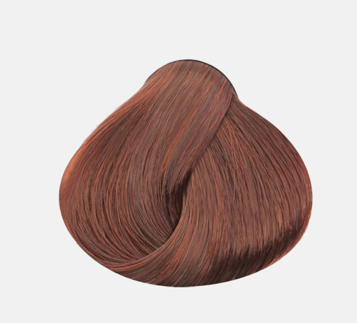 Color Erbe 6.4